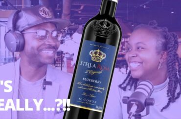 Stella Rosa Blueberry Review | Wine Down Wednesday