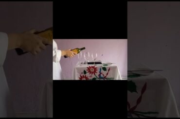 FRENCH SERVICE - MARIO LOVERS