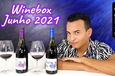 COQ LICOT Vinhos Franceses da Winebox de Junho 2021 - Wine.com.br