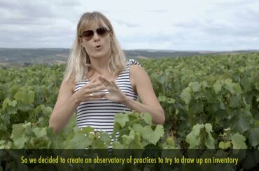 [In English] - Engage our terroirs in our territories - Confederation of Winegrowers of Burgundy