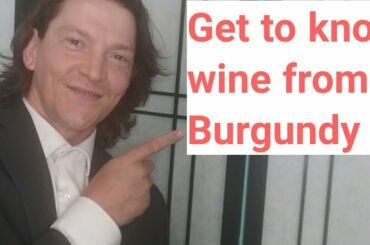 The Wine Snitch tasting. Beaujolais Village.           Burgundy.         (France)