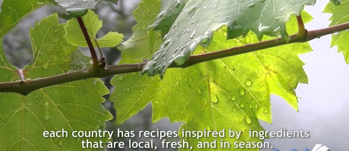 French Food (French + English Subtitles)