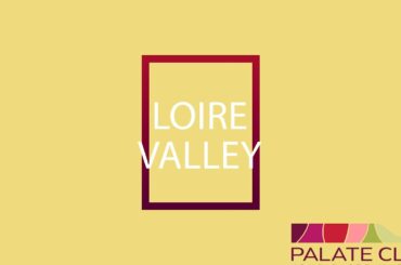 Visit the Wine Domaines of the Loire Valley! A Guide to the Loire by Palate Club