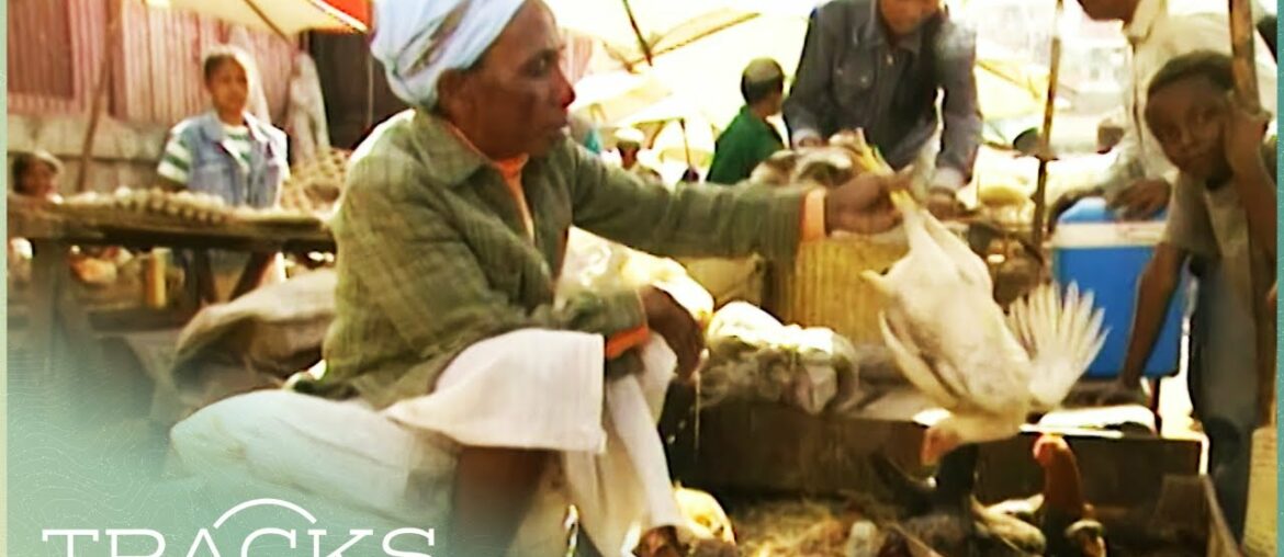 Life Around Madagascar's Food Markets | Floyd On Africa | TRACKS