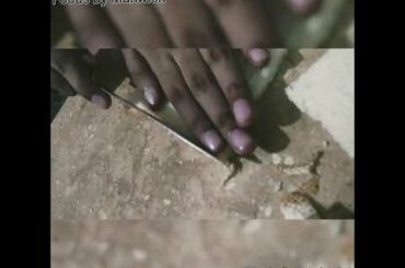 FRENCH TOAST | foods by Mahwish | easy recipe | 5 minutes french toast recipe