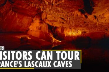 France: Visitors can once again tour the Lascaux caves through VR | Latest World English News | WION