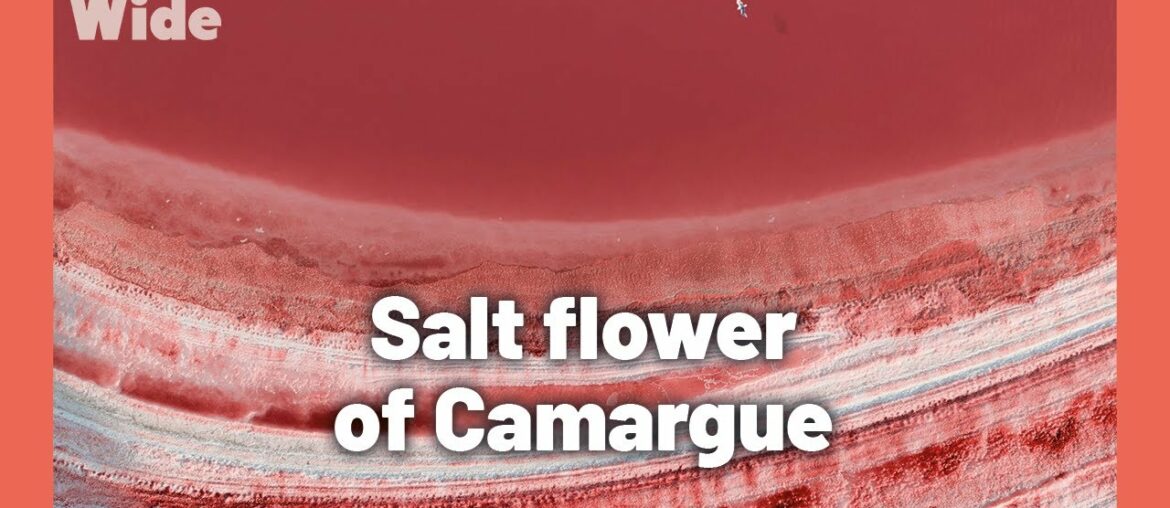 South of France’s white gold I WIDE