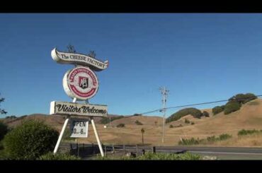 Near Marin French Cheese Co. In California USA.