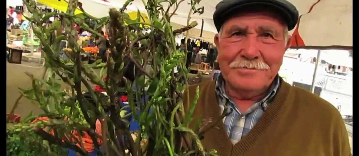 The wild gourmet Asparagus of Turkey