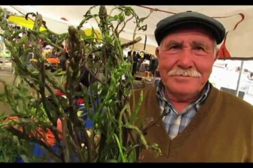 The wild gourmet Asparagus of Turkey