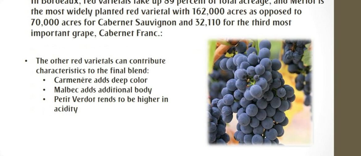 france wine region bordeaux