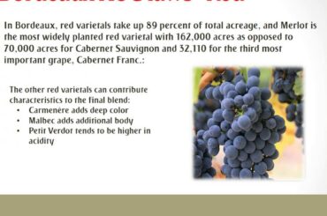 france wine region bordeaux