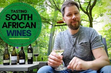 Taste and Learn: Exploring the Best South African Wines