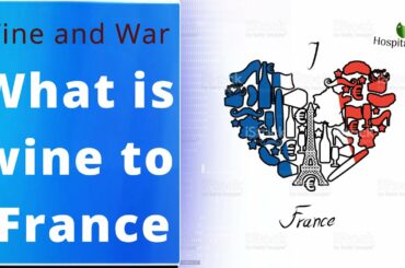 What is wine to France | Wine and War | Episode 2