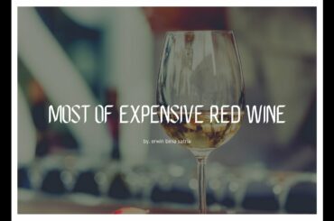 Top 10 Most Expensive and Vintage Red Wines in the World