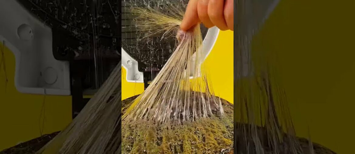 Jelly Worm in Waffle Maker #Shorts