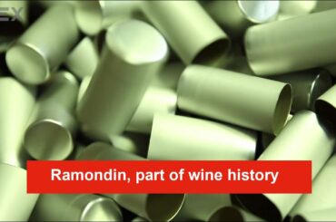 Ramondin, part of wine history