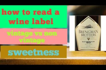 How to read a wine label || vintage & non vintage wine
