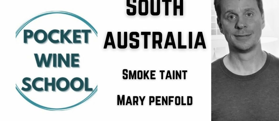 South Australia / Smoke Taint / Mary Penfold || Pocket Wine School South Australia / Smoke Taint / Mary Penfold || Pocket Wine School