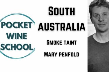 South Australia / Smoke Taint / Mary Penfold || Pocket Wine School