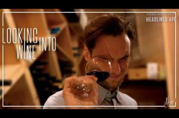 Insights on wine barrels, wood origins and technicalities with Mel Brooks barrel broker