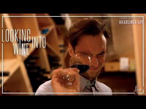 Insights on wine barrels, wood origins and technicalities with Mel Brooks barrel broker Insights on wine barrels, wood origins and technicalities with Mel Brooks barrel broker