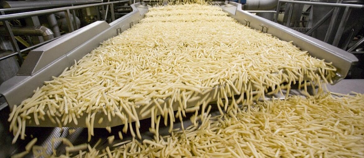 World Amazing Automatic French Fries Production Line Modern Food Processing Technology