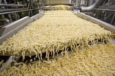 World Amazing Automatic French Fries Production Line Modern Food Processing Technology