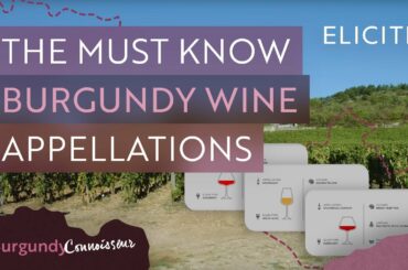 The Complete Guide To Key Burgundy Appellations