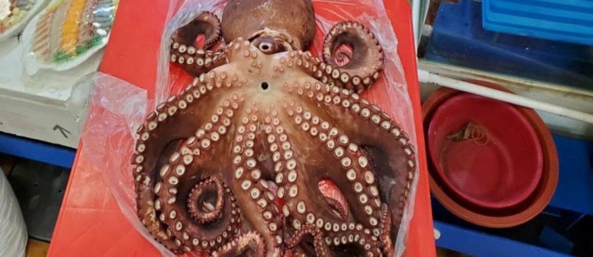 Korean TRADITIONAL FISH MARKET & Street Food Tour! MUST TRY CHEAP EATS & Noryangjin Market Guide