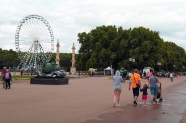 Walking in Bordeaux 4k France | The Cat Wanders | Exhibition | July 2021