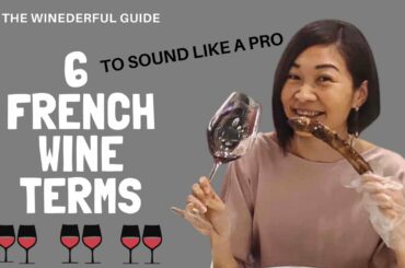Quick and Easy-6 Must Know French Wine Terms (To sound like a Pro)