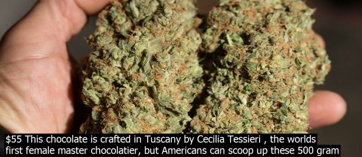 One chocolate rupees the cost of chocolates coin maker hom.e bargains One chocolate rupees the cost of chocolates coin maker hom.e bargains