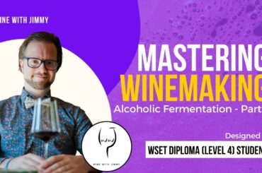WSET L4 Mastering Wine Making Options - Alcoholic Fermentation Part 1 - Yeast