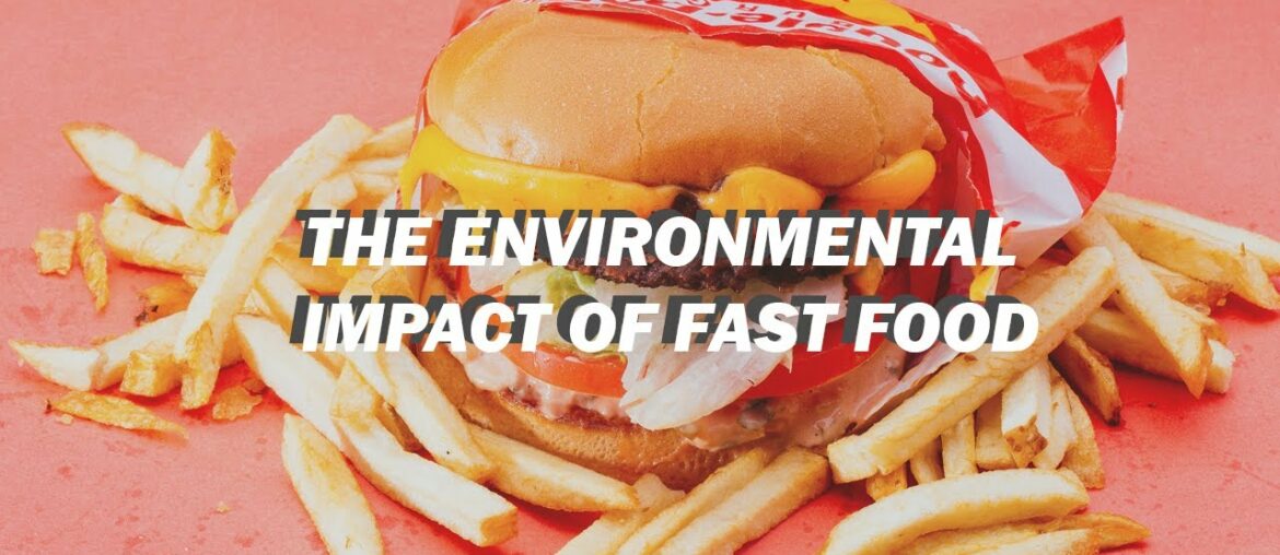 The Environmental Impact of Fast Food // + tips for sustainable fast food The Environmental Impact of Fast Food // + tips for sustainable fast food