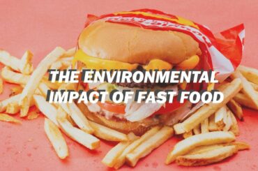 The Environmental Impact of Fast Food // + tips for sustainable fast food