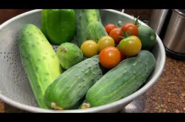 Vlog- A French dinner, working in the garden, and new curtains