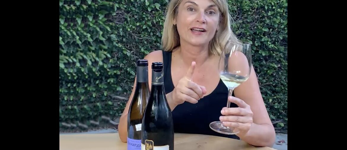 Monica Marin director WET | Sommtable class about wine tasting