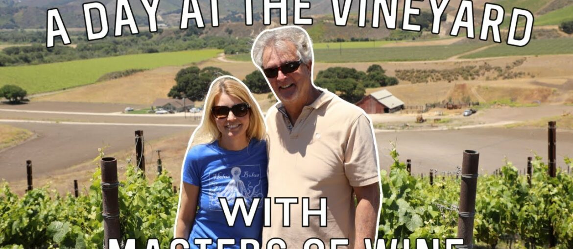 two Masters of Wine visit the Joyfantastic vineyard