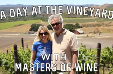 two Masters of Wine visit the Joyfantastic vineyard
