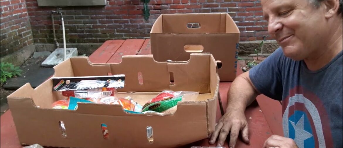 DUMPSTER DIVING AT ALDI FOR FREE FOOD AND CLEANING PRODUCTS! #frugal #lamarseillaise #vivelafrance