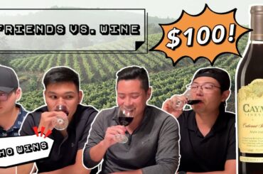 $20 vs $100 Wine Tasting | Can Novice Wine Drinkers Guess Cheap vs Expensive Wines?