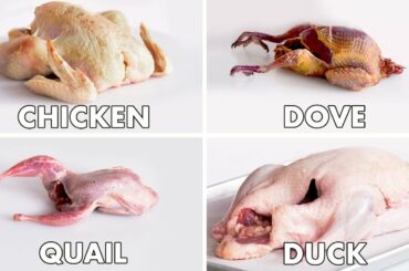 How To Butcher Every Bird | Method Mastery | Epicurious