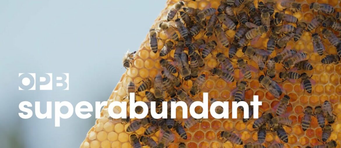 Honey's divine surprise -Superabundant S1 E3