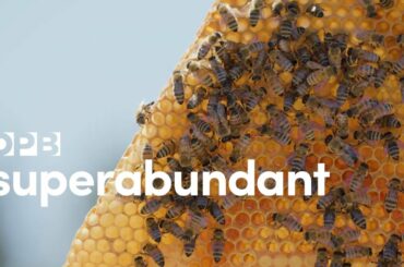 Honey's divine surprise -Superabundant S1 E3