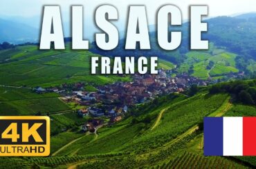 Alsace seen from above. watch this french wine region with the massive grape ranks from a 4k drone