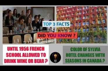 French school allowed to drink wine and bear|color of sylvia hotel changes with seasons|#shorts