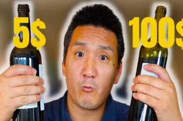 CHEAP vs. EXPENSIVE Wine Blind Taste Test