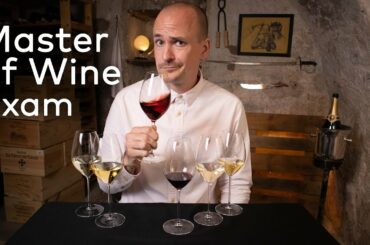 Tasting like a MASTER of WINE - How to pass the MW TASTING