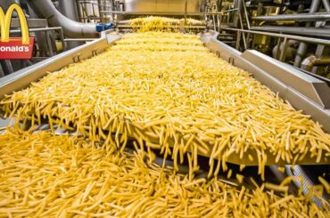 HOW MCDONALD’S FRENCH FRIES ARE MADE. FOOD PRODUCTION